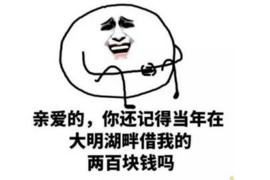 东辽如何避免债务纠纷？专业追讨公司教您应对之策